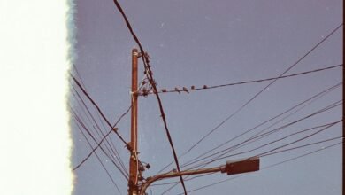 support phone number inquiry