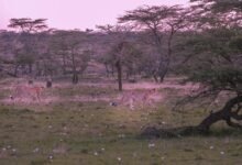 cosmic gateway to infinity