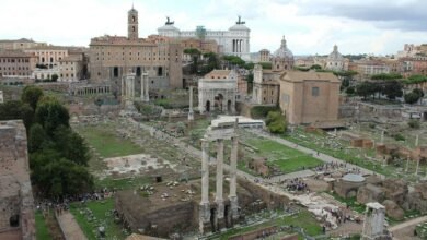 forum engagement analysis summary