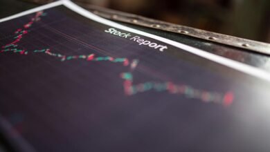 ip activity reports overview