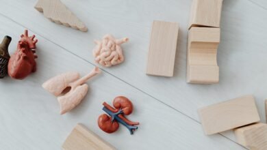 chololithiasis beginner friendly overview guide