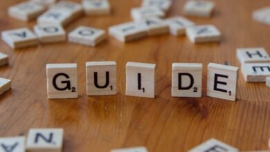 guide highlights tips and insights