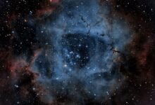hidrognologista suitability guide overview