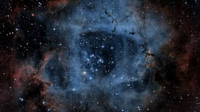 hidrognologista suitability guide overview