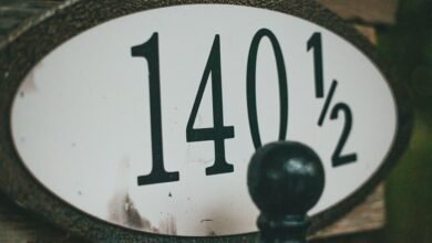 top ten digit identifier overview