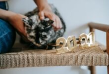 why 2026 numbers trending upward