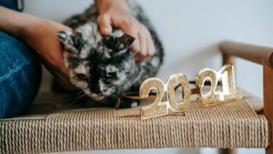 why 2026 numbers trending upward