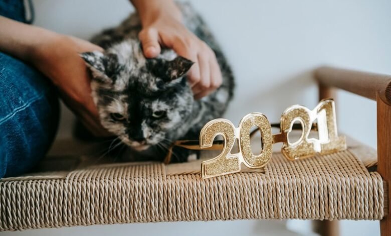 why 2026 numbers trending upward
