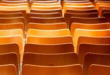 why zientyca is worth